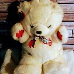 HEART TO HEART TEDDY BEAR