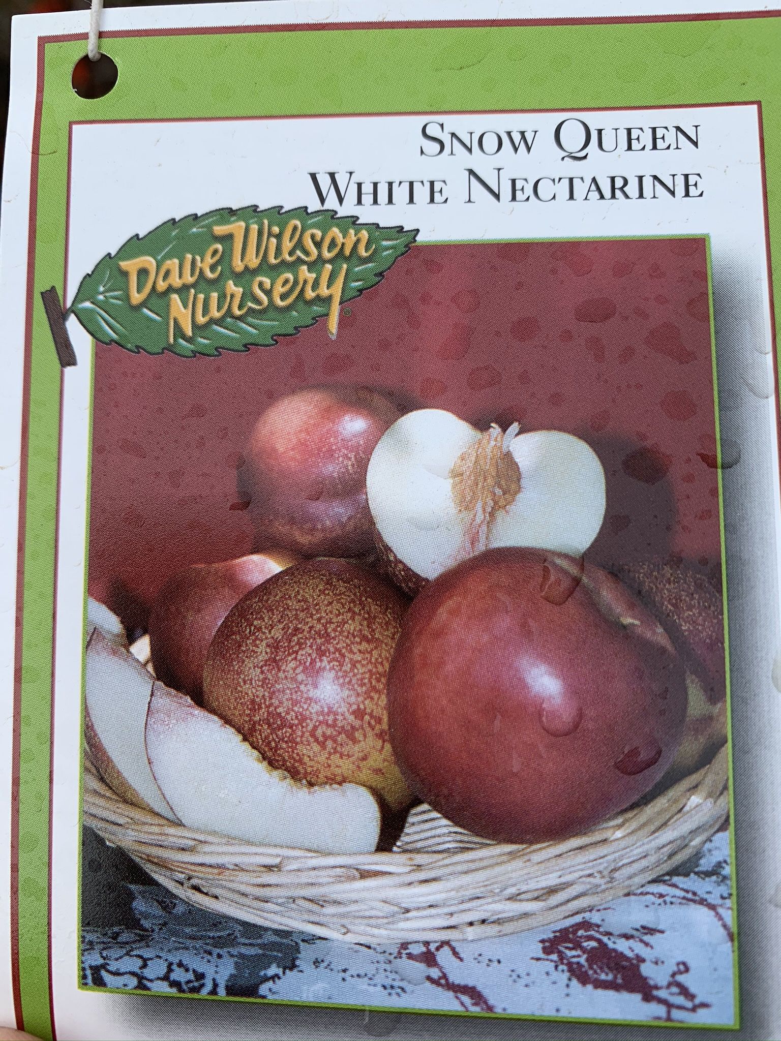 Stone Fruit Trees – ONLY $69.99