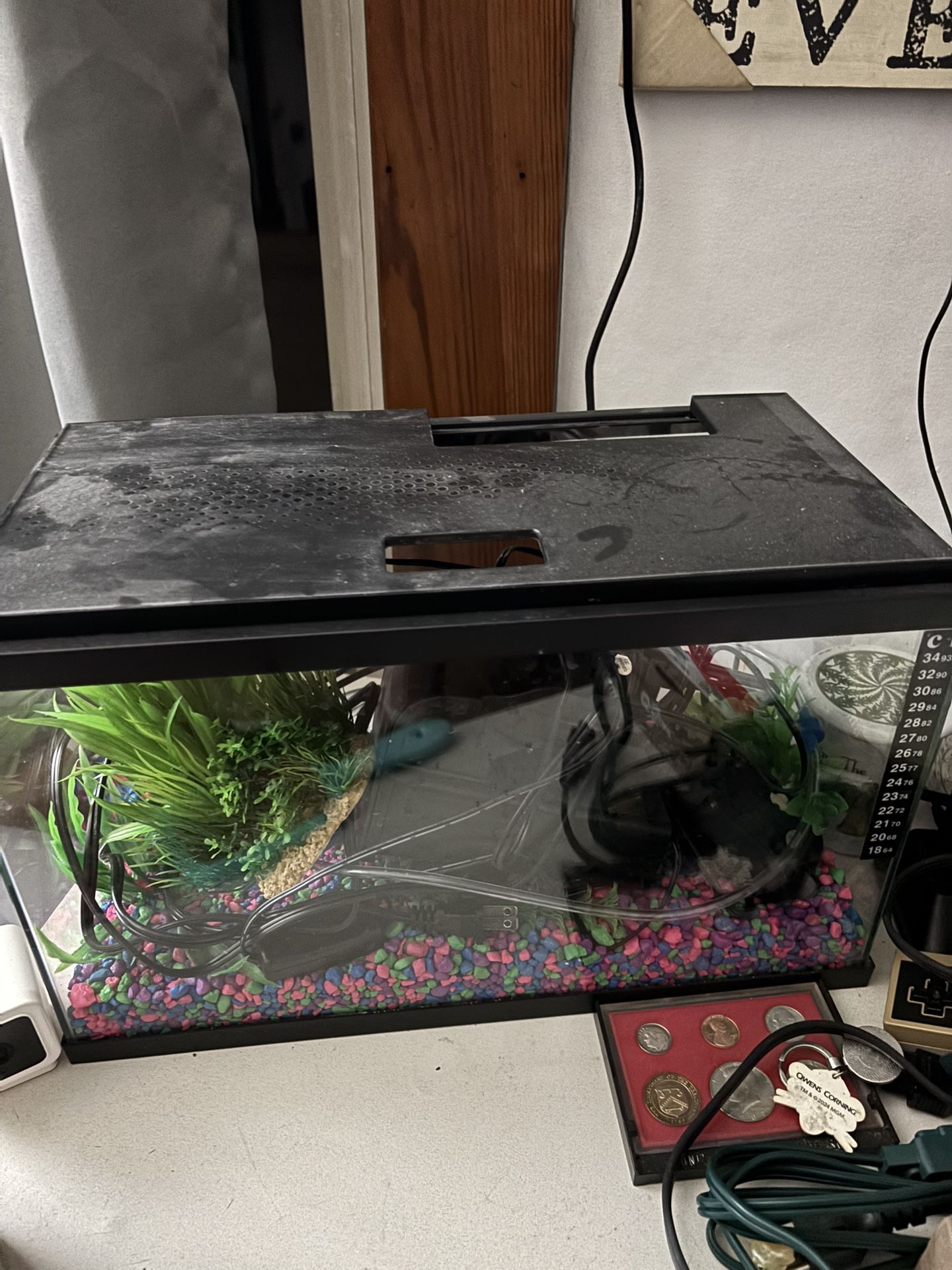  Fish Tank 5 Gallons