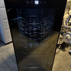 Mini Wine Fridge