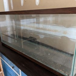 Big Aquarium 