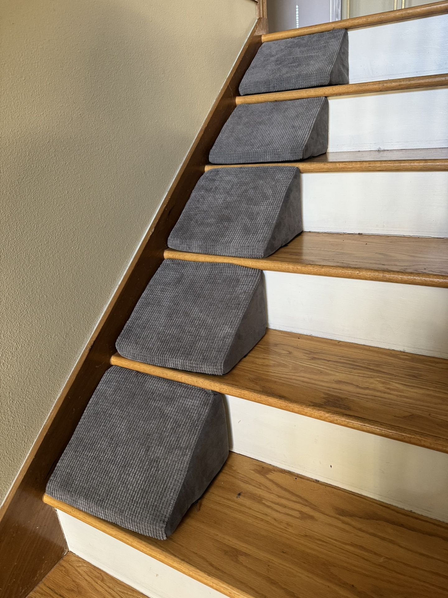 Pet Stair Ramp