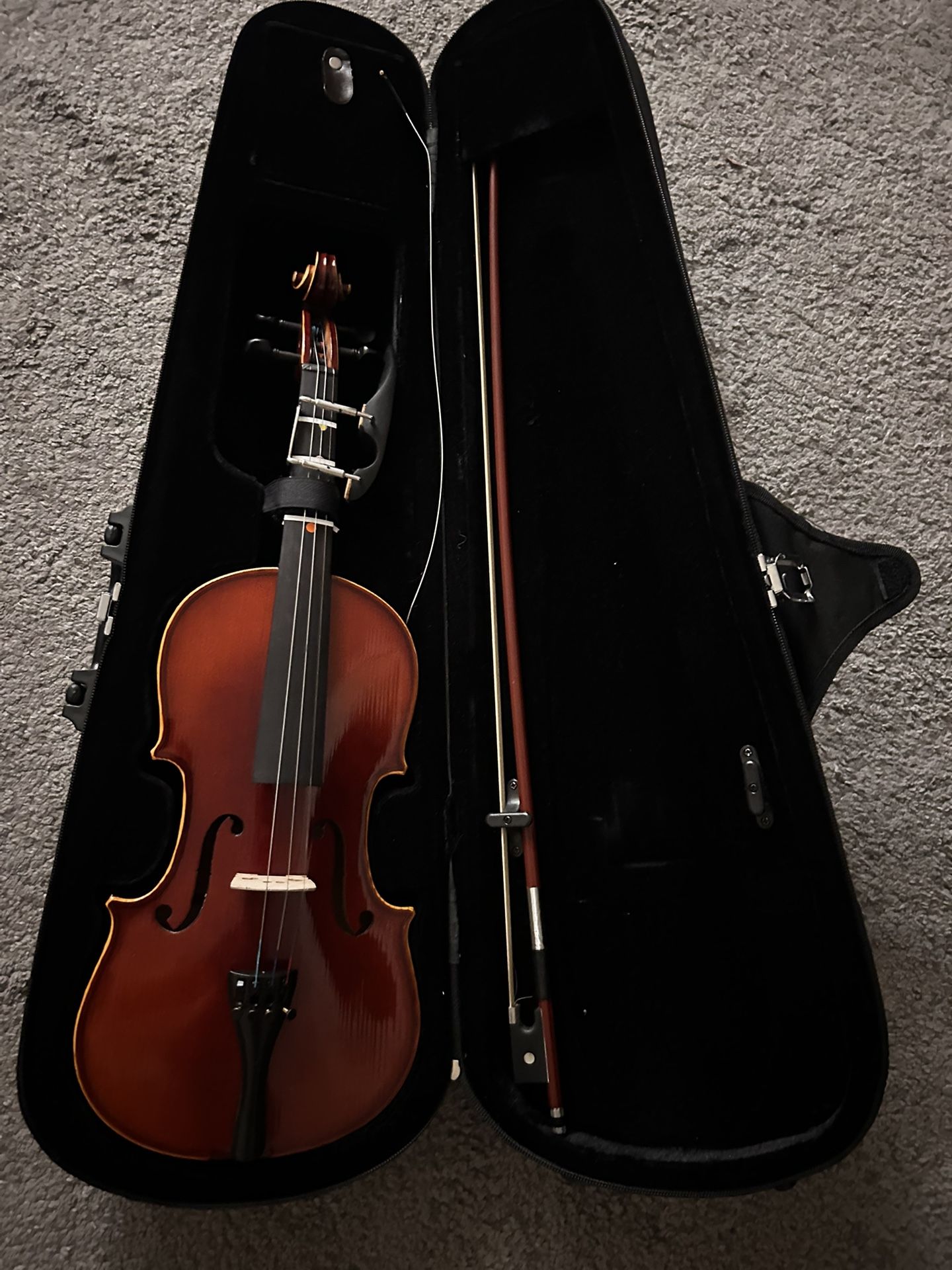 Brand New Violin