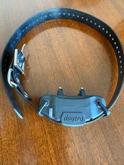 Dogtra E-Collar Receiver with Strap