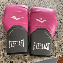 Evarlast Boxing gloves
