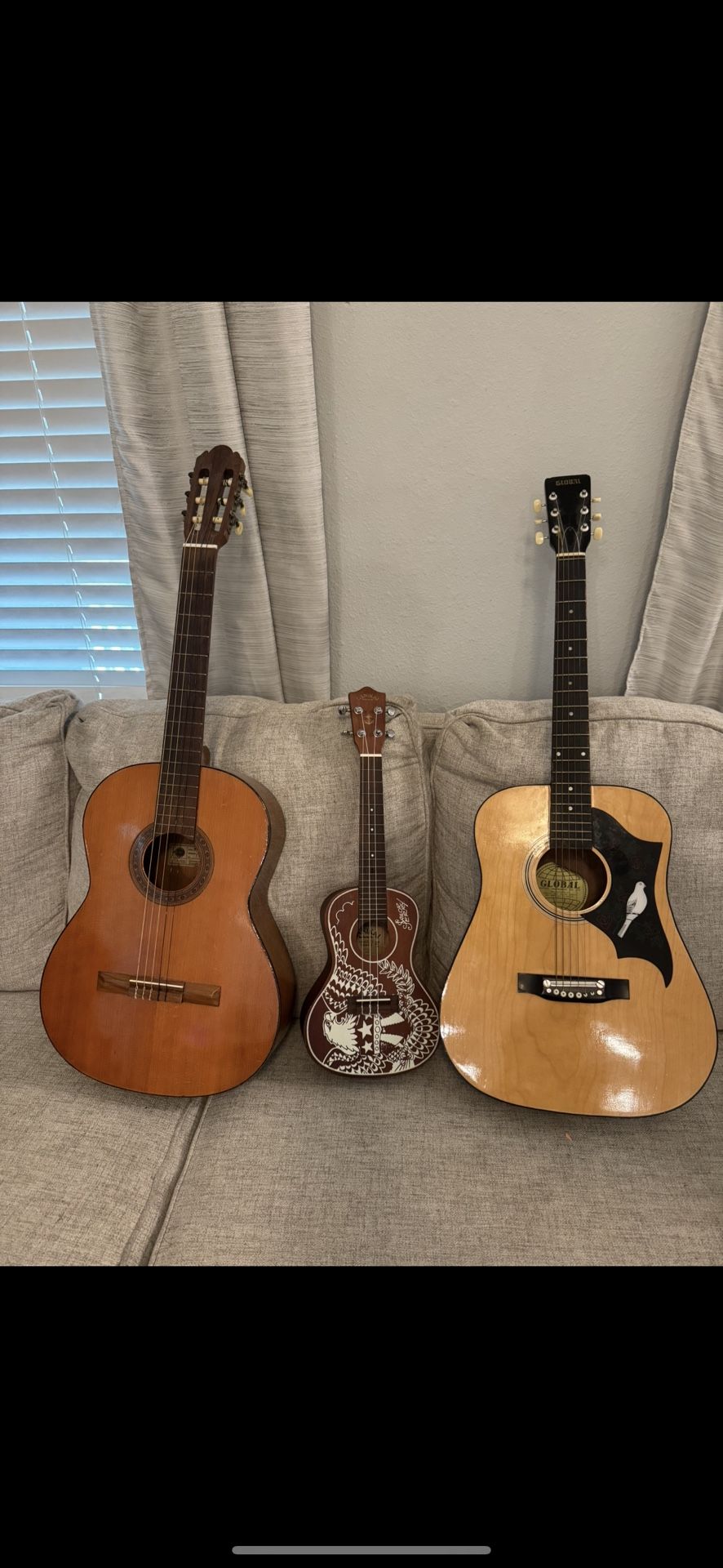 Guitar and Ukulele Bundle