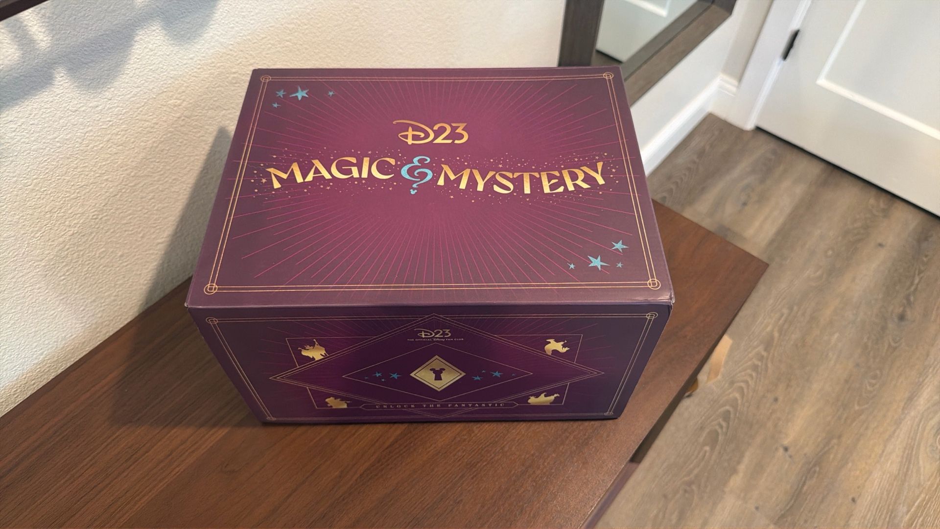 Disney D23 2024 15th Anniversary Collector Set