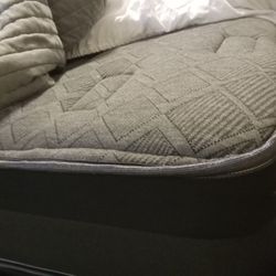 Brand New Queen Mattress $200