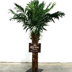 Corona  Beer Faux Palm Tree