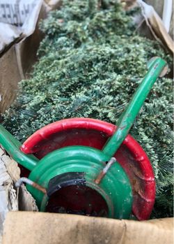 2 Christmas trees