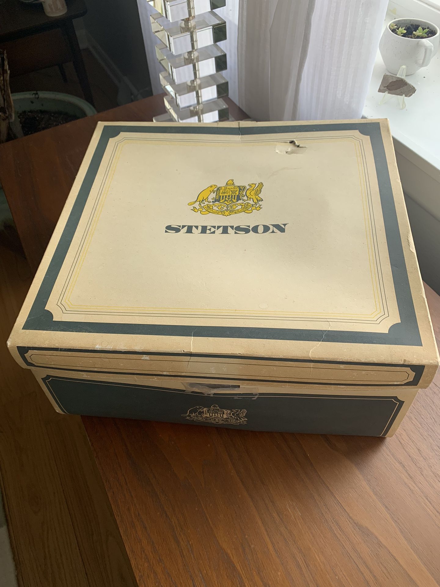 Vintage Stetson Hat Box