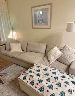 Sectional Couch Can Deliver