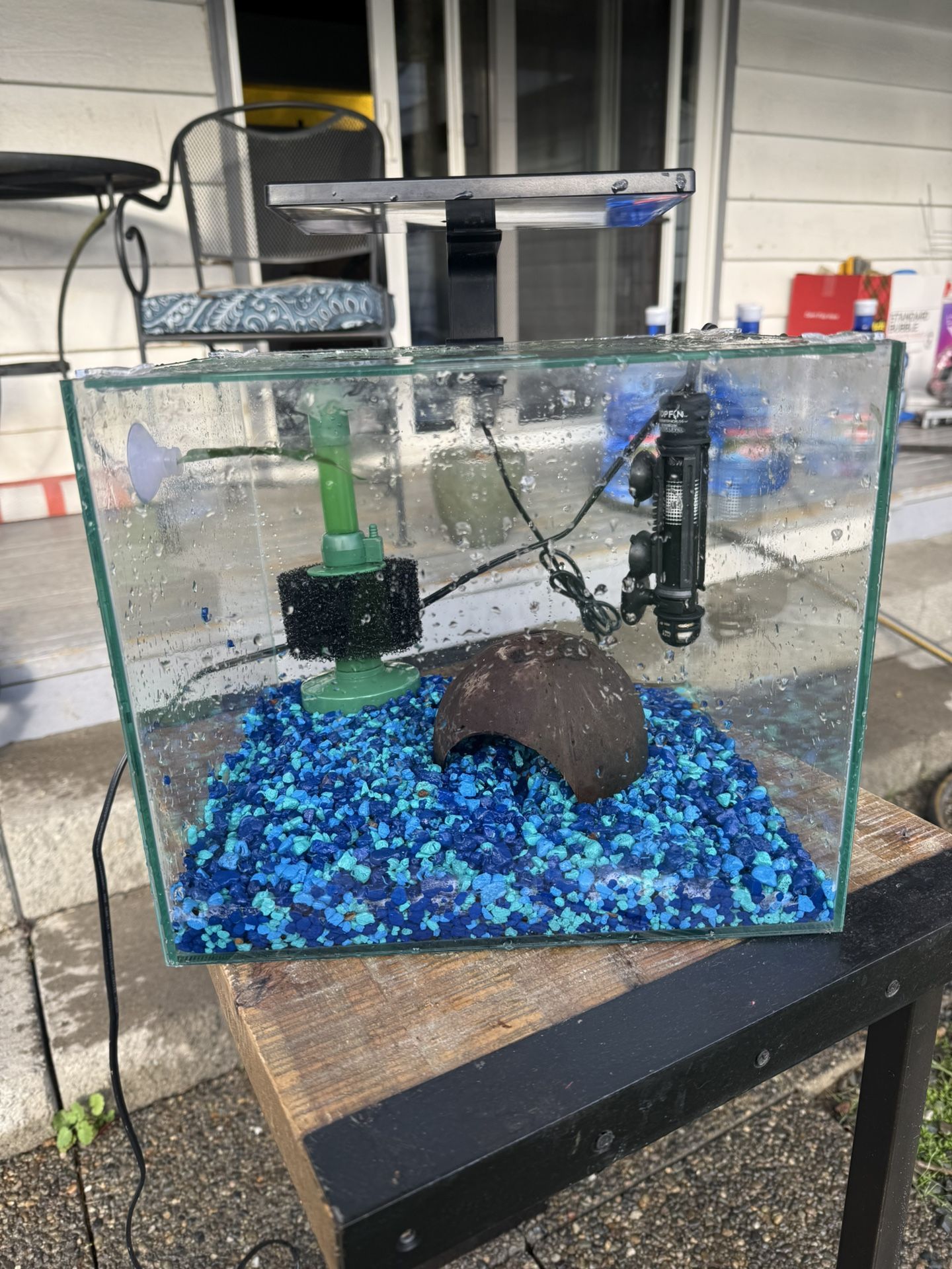 5 Gallon Aquarium