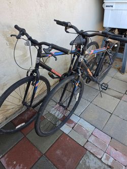adult bikes
