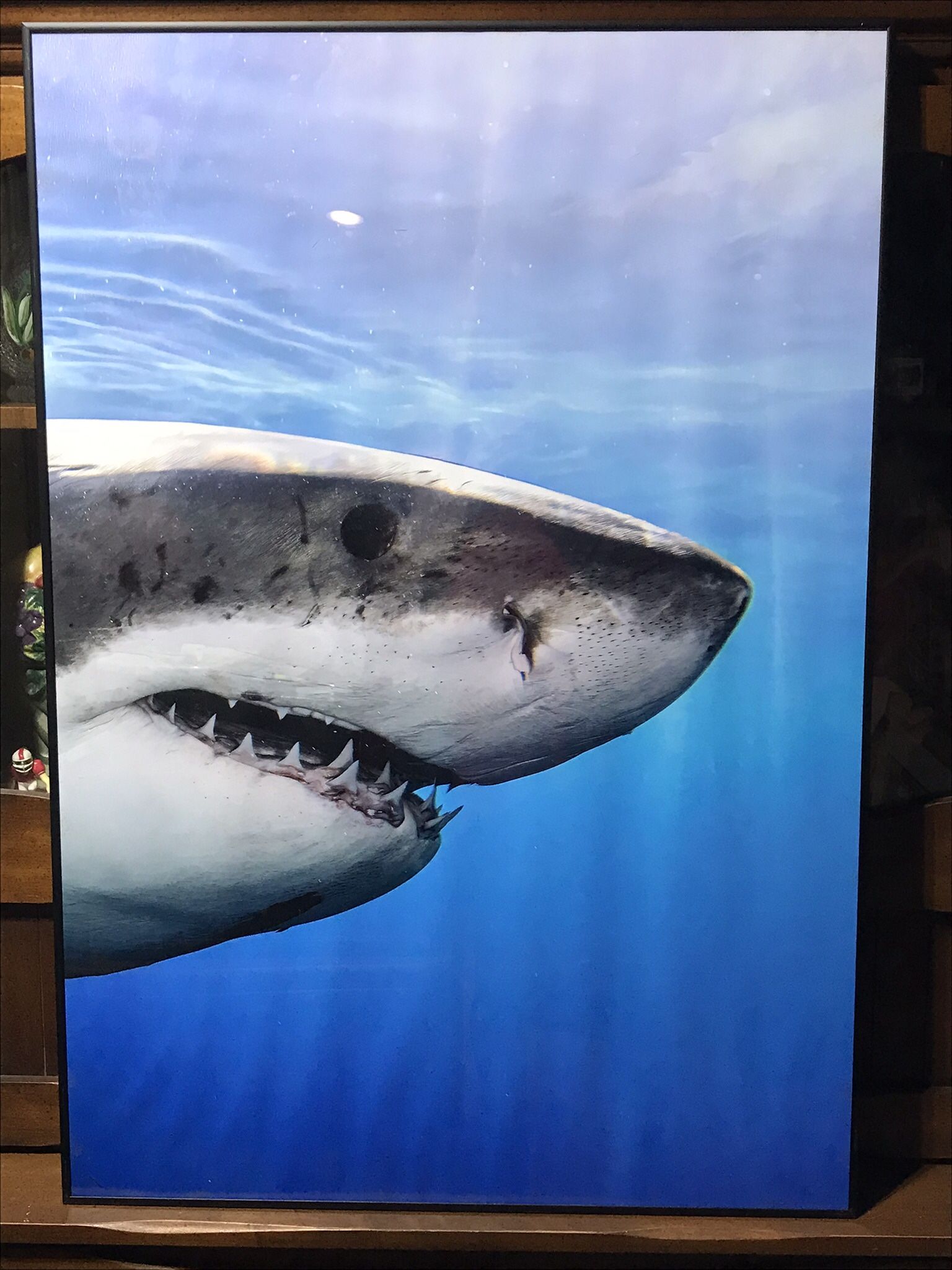 Great white shark costume framed poster .39 x 27