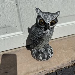Owl Decoy