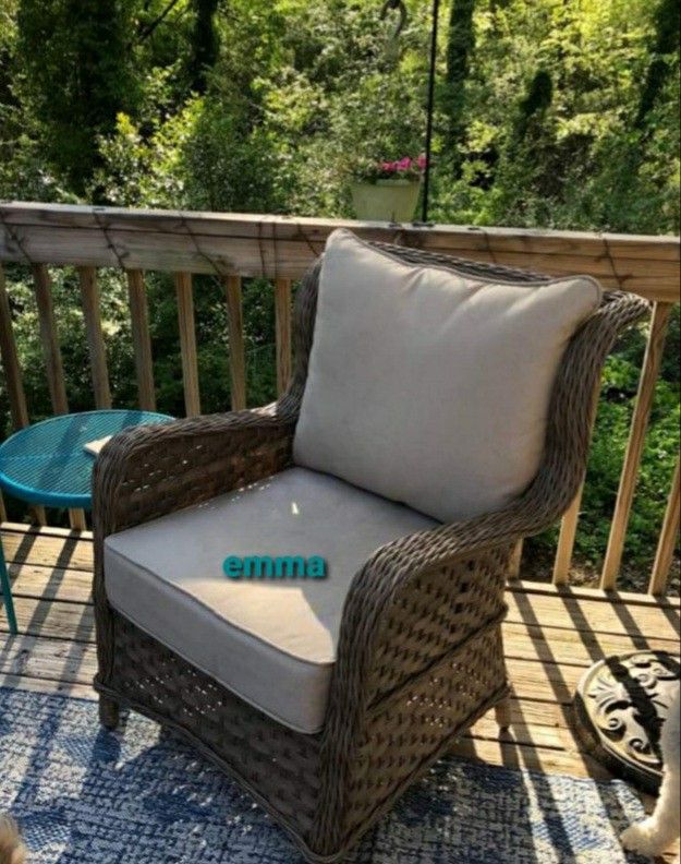 🌟🌟 BRAND NEW 💫 Clear Ridge Lounge Chair with Cushion (Set of 2)⚡