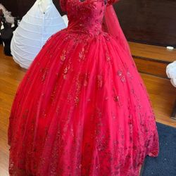 Quinceanera Dress