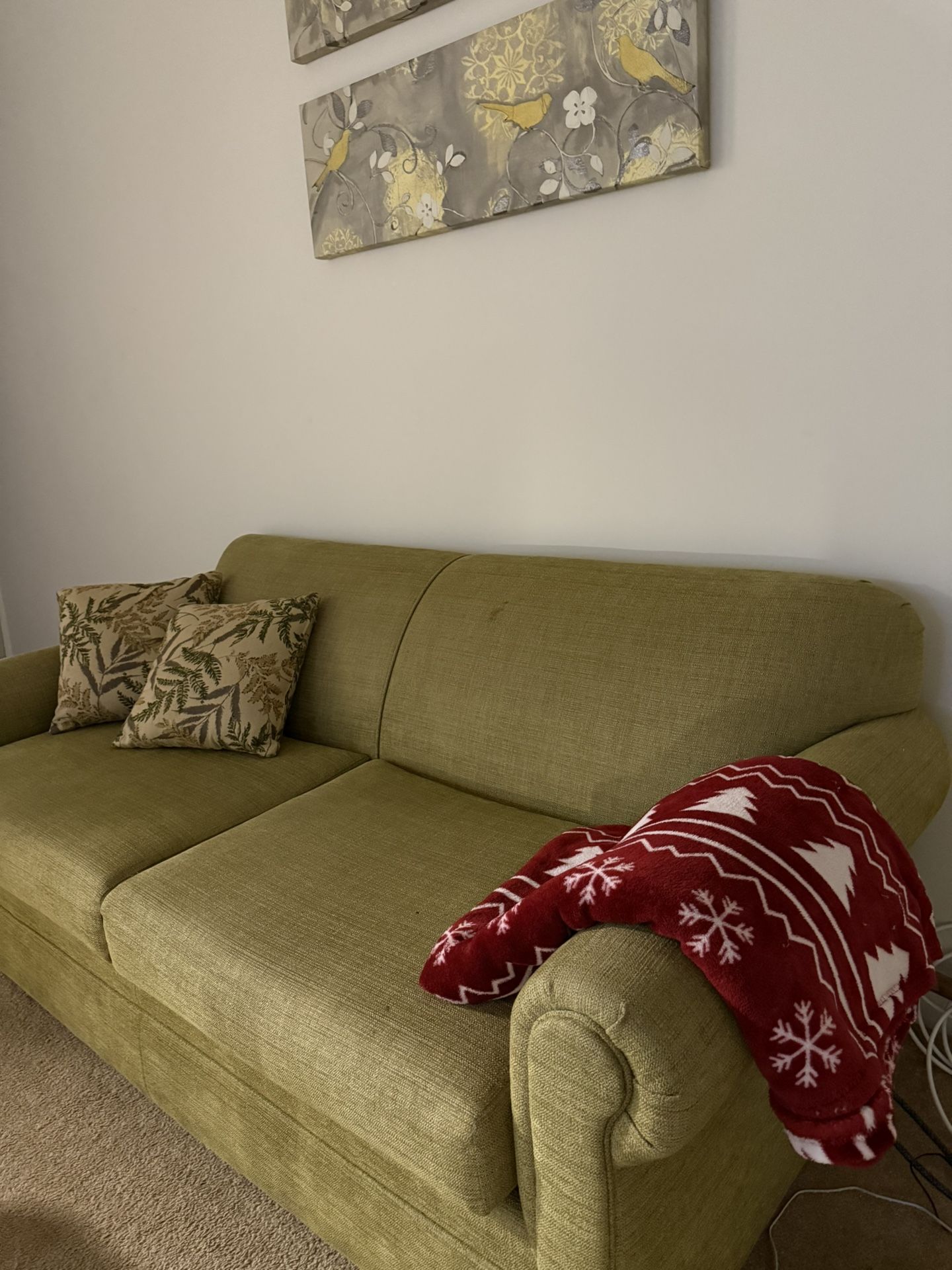 Green 3-seater couch in great condition