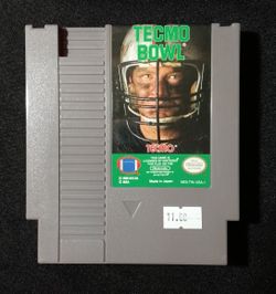 Tecmo Bowl (NES)