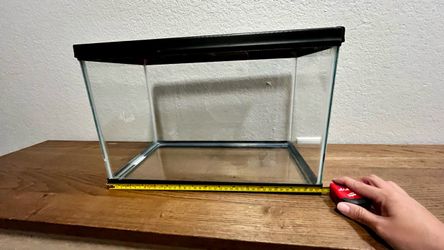 Hermit crab glass tank with top