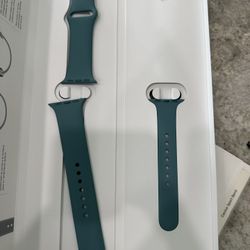 Genuine Apple Watch Sport Band - Cactus 40mm 