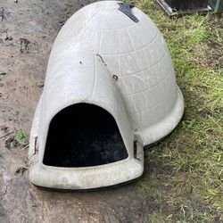 Dog House