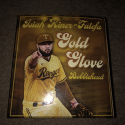 IKF Gold Glove BH and Program 
