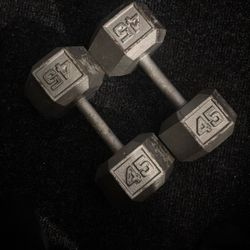 45 Lbs Dumbell