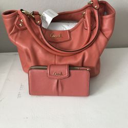 Leather Coach Bag & Wallet