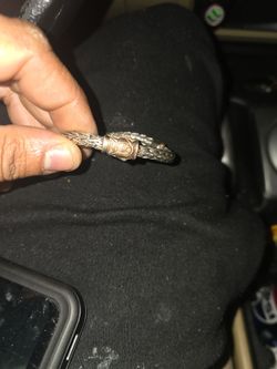 Phillip Gavriel Double Braided