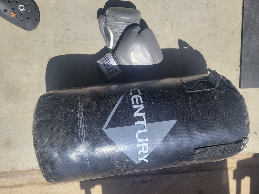 Century Punching Bag and Gloves