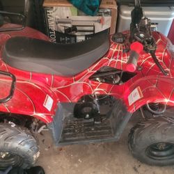 Quads Bikes