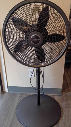 Fan