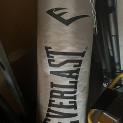 Everlast Punching Bag 