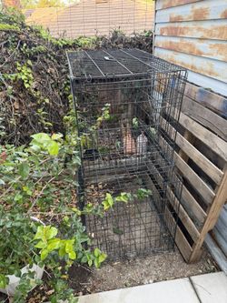 Two Kennels