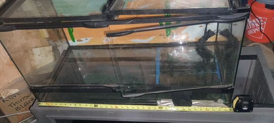 reptile tank and accessories