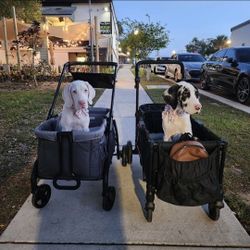 Two Carriages For Sale