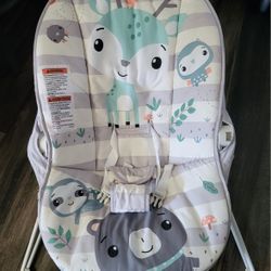 Baby Bouncer 