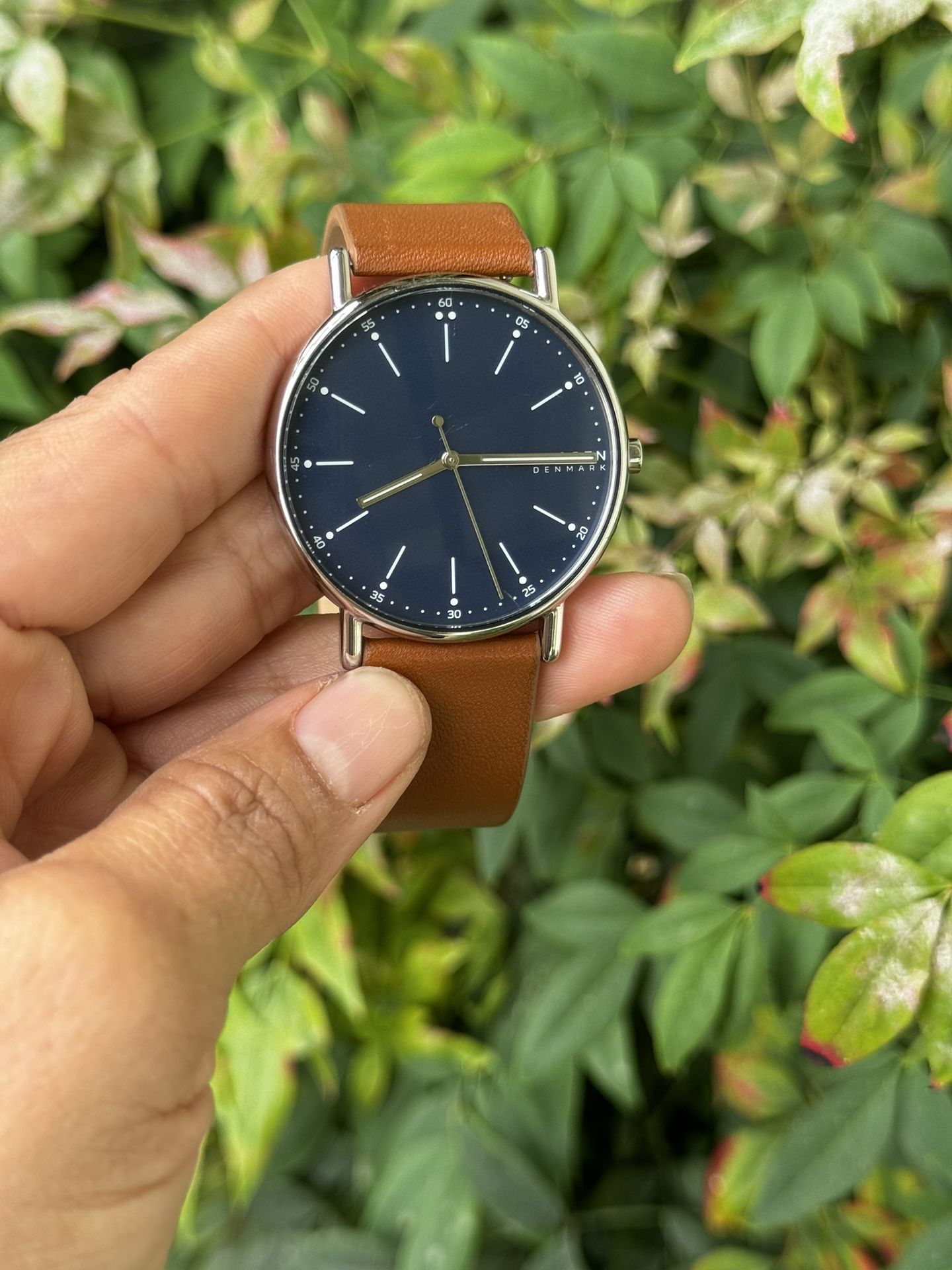 Skagen Watch SIGNATUR Medium 40mm SKW6355 Men's Brown