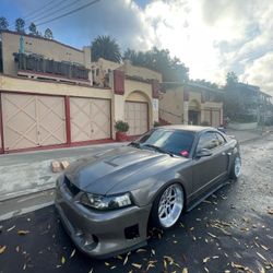 03-04 Mustang Cobra Hood