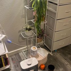 plant stand 