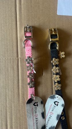 Dog Collars