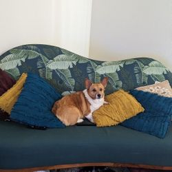 Botanical Green Couch