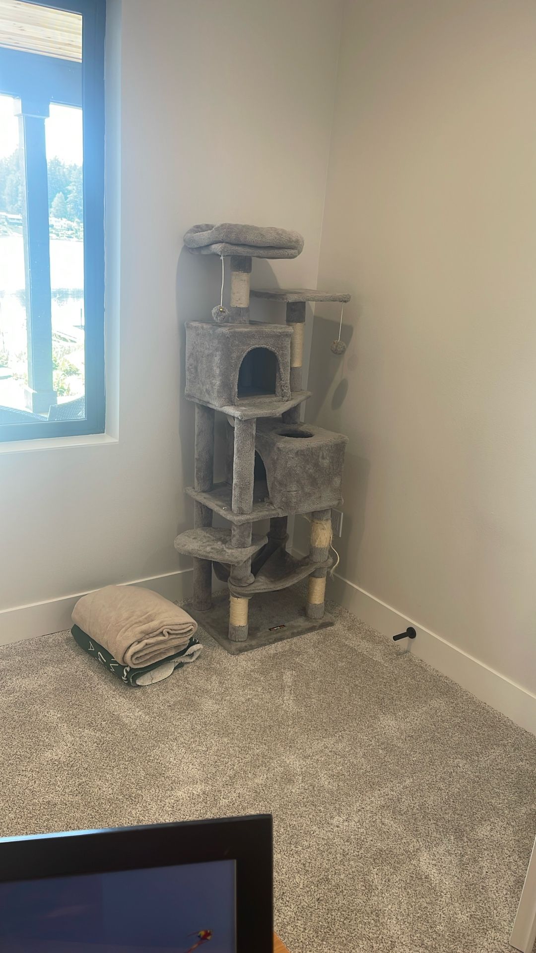 Cat Climber