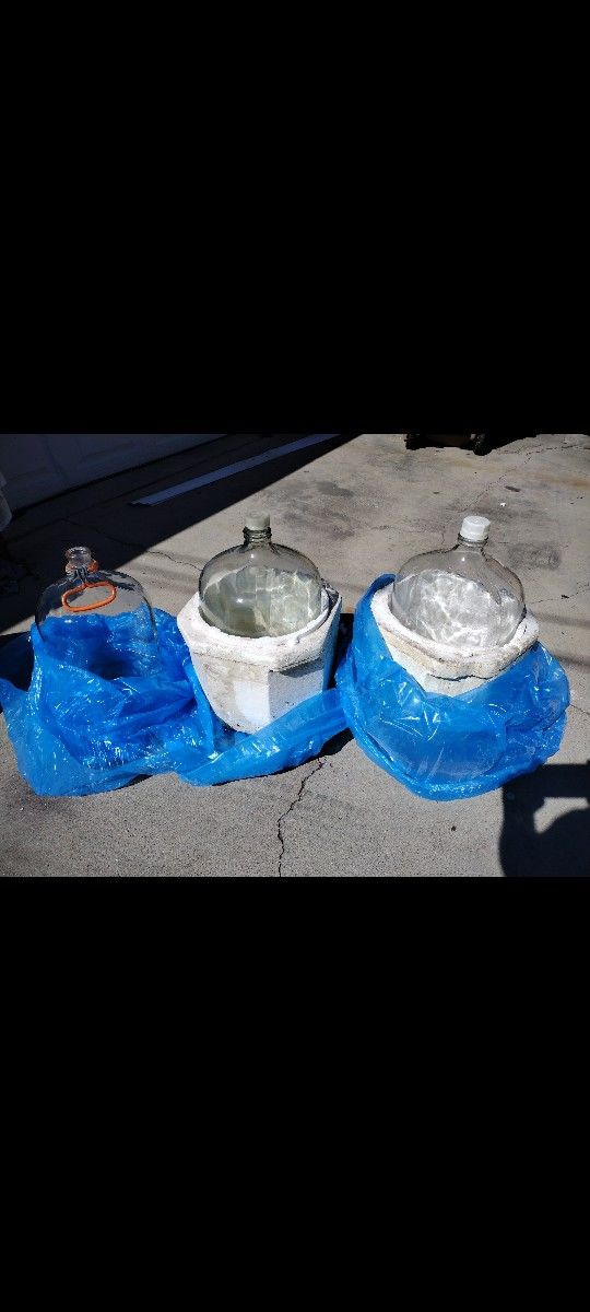 3 GLASS Carboys, 5 Gallon And 6 Gallon GLASS 