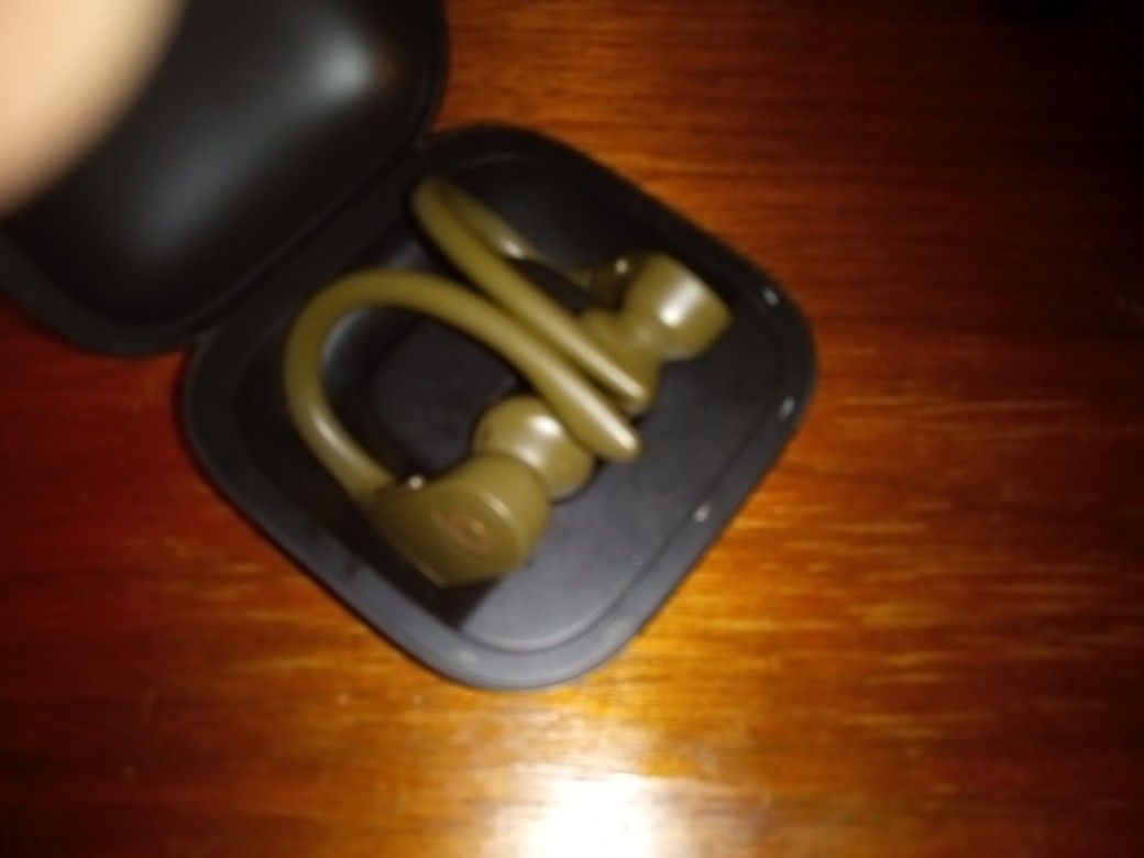 Powerbeats Pro Headphons