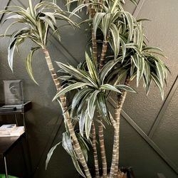 Tall Faux Palm/Dracaena Plant in Square Pot