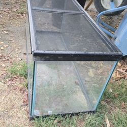 Terrarium 