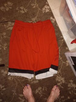 2xl